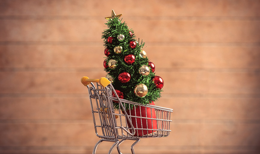 little-christmas-tree-in-supermarket-cart-on-woode-Z5VBR67